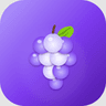 grape